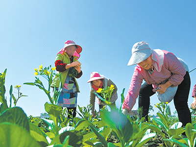 快三對子最大遺漏