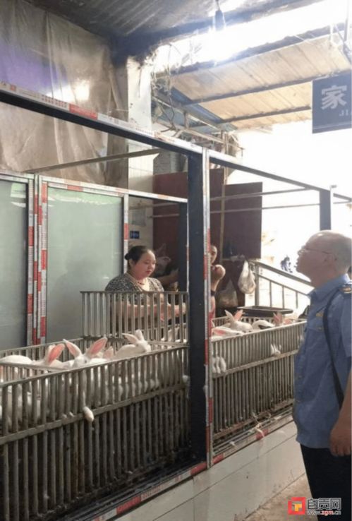 緊盯食品質(zhì)量安全 自貢15個(gè)農(nóng)貿(mào) 集貿(mào) 市場被抽查