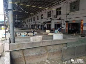 南陽與大城市之間,只隔了一個(gè)菜市場