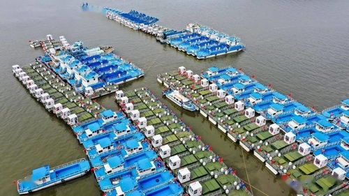 廣州上新173艘水域保潔船舶