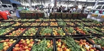 牛氣哄哄 江津這個農貿城一天進10000多噸農產品