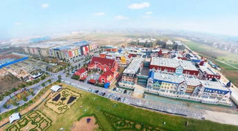 首屆浙商進博會落地這位溫商打造的 進口城