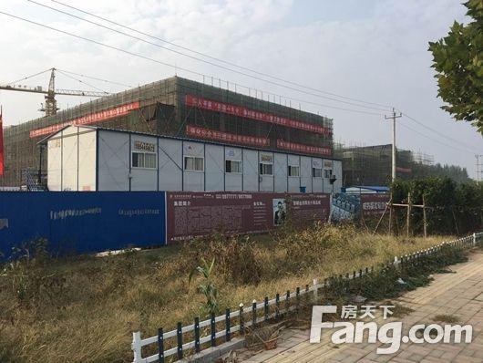 不如翻身做老板