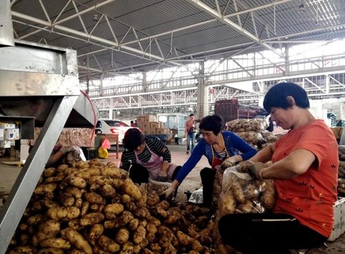 農(nóng)發(fā)行衢州市分行 拎穩(wěn)老百姓 菜籃子 ,鼓起貧困戶 錢袋子