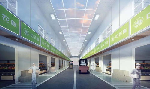 總投資30億 服務西南,輻射全國 內江將新增一個國際化 超級菜籃子