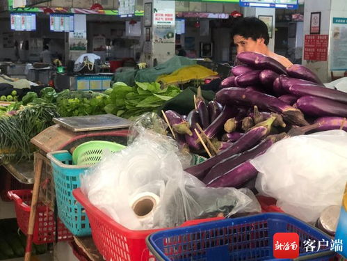 全生物降解塑料制品成本高推廣難 海口農貿市場背心保鮮袋成替代品