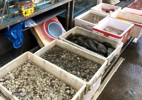 高明這25個農貿市場食品安全量化分級復審結果出爐