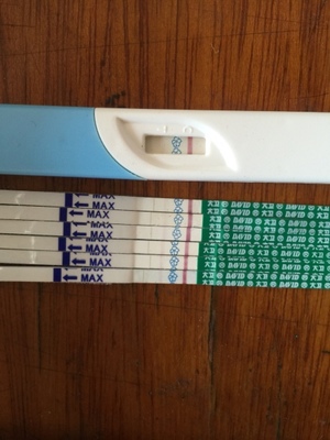 有在衢州大潤發附近自己帶孩子的寶媽嗎?