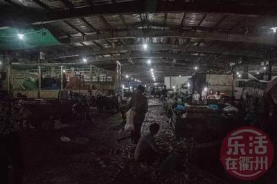 昨晚,我在衢州一宿沒睡!凌晨街頭的一幕幕震驚所有人!