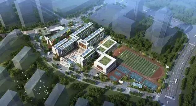 老農貿城區塊有何規劃?恒大幼兒園今年招生嗎?這些問題答案在這