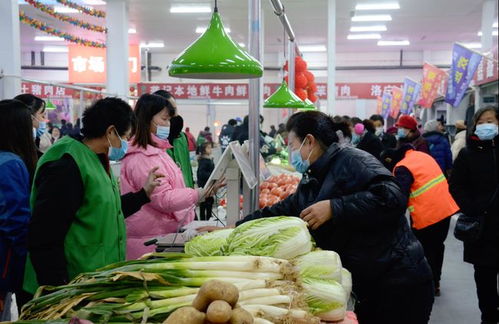 龍鱗路精品農貿惠民市場落成典禮隆重啟幕