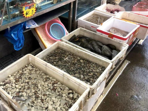 高明將整治10個集貿市場,分別涉及這些區域