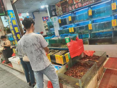 龍蝦季即將結束 云南市場價格