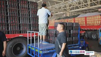 不等不靠 重建家園 我們一起重現美麗浙江