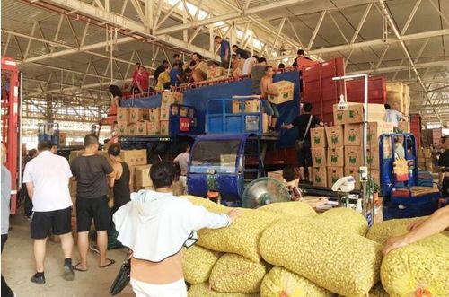 農(nóng)發(fā)行衢州市分行 拎穩(wěn)老百姓 菜籃子 ,鼓起貧困戶 錢袋子