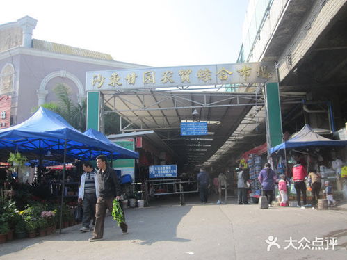 沙東甘園農(nóng)貿(mào)綜合市場小水產(chǎn)11檔