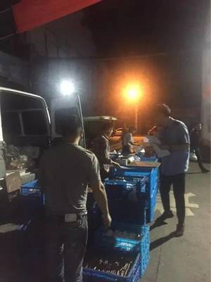 凌晨三點(diǎn)半,衢州農(nóng)貿(mào)城鮮為人知的一幕.