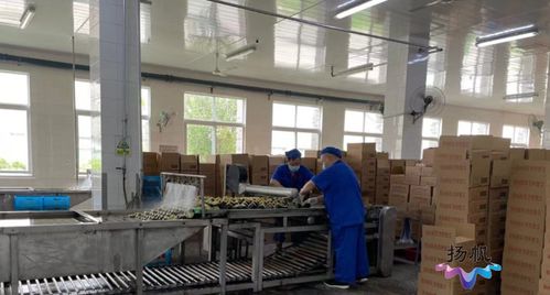 揚(yáng)州市主城區(qū)工業(yè)企業(yè)開工率超六成 重點(diǎn)食品企業(yè)精準(zhǔn)防控保生產(chǎn)