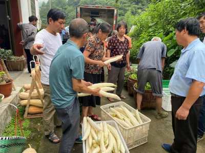 “三衢味”“消薄卡” …柯城多輪驅(qū)動(dòng)助農(nóng)駛上共富“快車道”