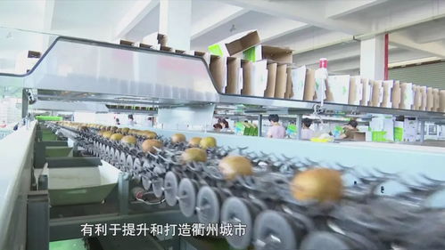 活力新衢州 美麗大花園 衢州 電商產(chǎn)業(yè)發(fā)展迅猛 農(nóng)特產(chǎn)品銷路拓寬