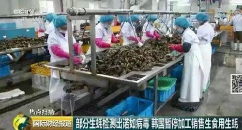 生蠔真的可以生吃嗎