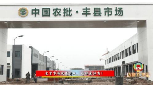 協商在豐縣 正式開播