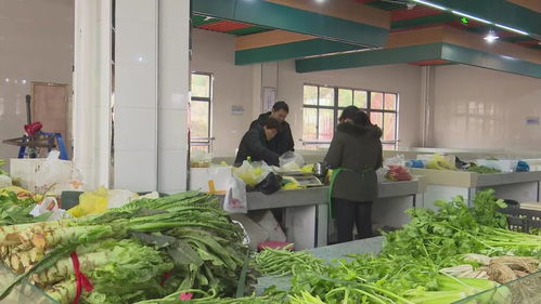 衢州 小城鎮環境綜合整治曬出亮眼 成績單