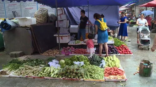 農(nóng)產(chǎn)品快速檢測(cè)設(shè)備成擺設(shè) 農(nóng)貿(mào)市場(chǎng)使用不理想