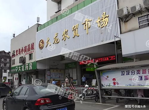 一整桶魚翻白肚 紹興大龍農(nóng)貿(mào)市場(chǎng)一水產(chǎn)攤,疑似遭人下藥