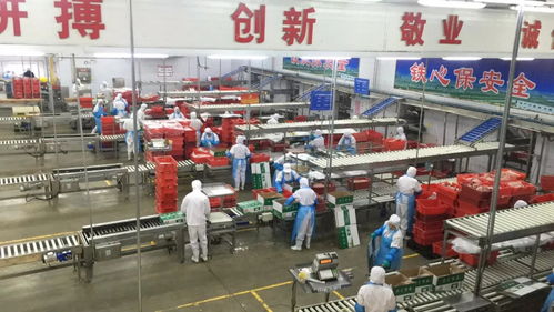 專業(yè)鑄就輝煌,匠心釀造品質(zhì) 博得財(cái)富私董會(huì)走進(jìn)食品名城漯河