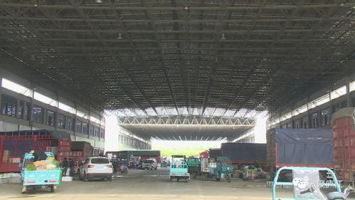 廬江市民請放心 有菜 不慌