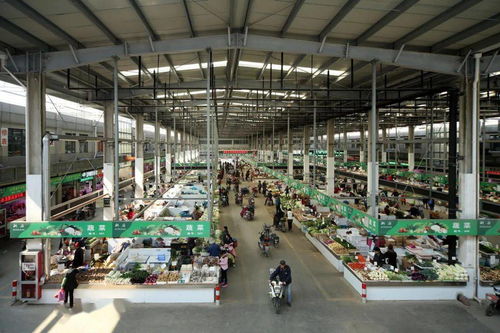 年產值超億元 顓橋這個農貿市場你熟悉嗎 背后還有故事