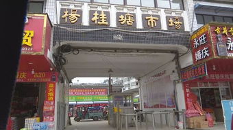 創城進行時 肥西農貿市場顏值大提升,文明經營齊點贊