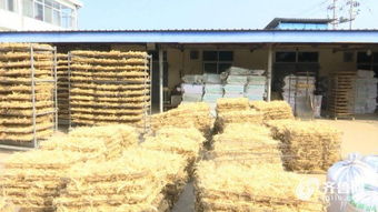 山東買菜去哪里 2018 年首批省級食品安全管理規范化農貿市場公示