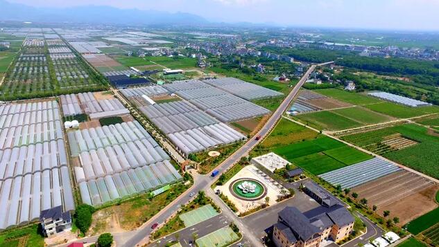 衢州農貿城早市已搬走90%,去新市場買吧~