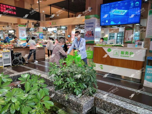 完成時代大考,交出滿分答卷 林鯤 五化 市場改造專輯