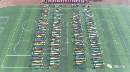 固鎮(zhèn)縣實驗小學(xué)教育集團(tuán)第十四屆趣味運(yùn)動會 全程航拍圖片