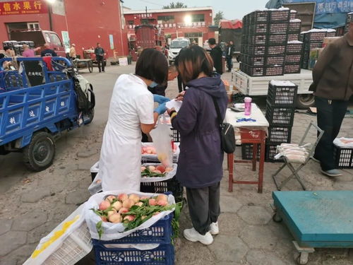 食品安全丨農貿市場食品安全快檢日報 2021.08.11