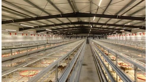 鹽津鋪子控股投資零食很忙集團,合力助推鄉村振興