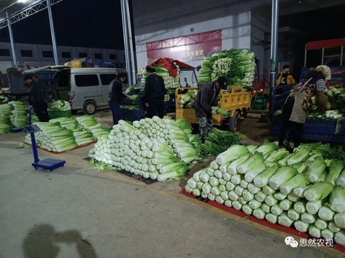 南寧金陵東盟農貿城12月23日農產品行情