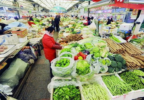 浙江衢州：數錢打瞌睡的賣菜阿姨，笑聲背后的辛酸