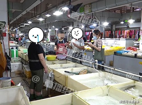 紹興大龍農貿市場水產攤驚現整桶魚翻白肚，疑似遭人惡意下藥，衢州農貿城事件引發關注