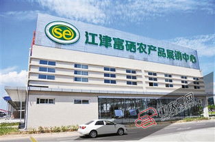 加速發展 江津交出漂亮成績單 衢州農貿城