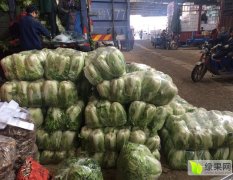 2025年浙江土豆求購信息及最新價格分析 - 珍匯選衢州農貿城動態