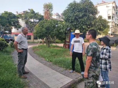 廿里創建全國文明城市的第一份答卷 衢州農貿城的華麗蝶變