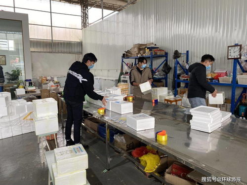 快遞進村，衢州農貿城為鄉村振興插上“云翅膀”